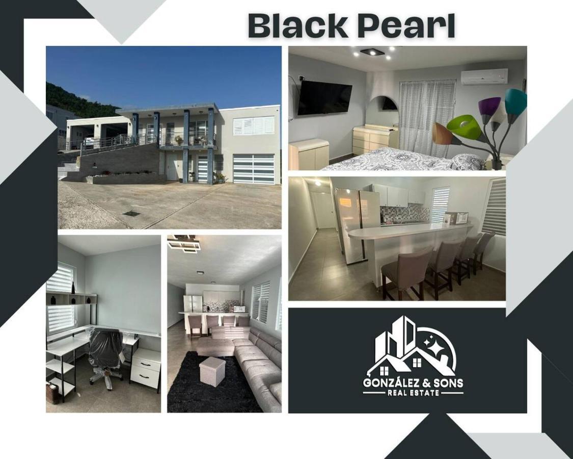 Black Pearl 瓜亚马 外观 照片
